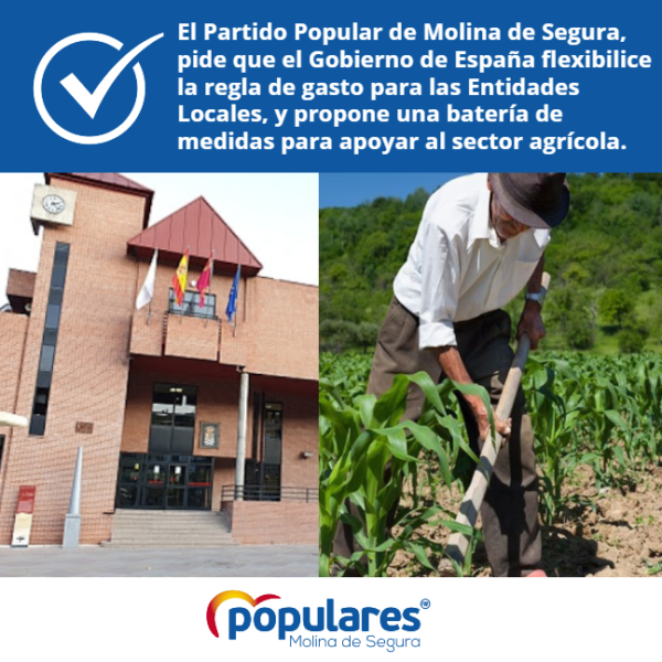 El Partido Popular de Molina de Segura, pide que el Gobierno de España flexibilice la regla de El Partido Popular de Molina de Segura, pide que el Gobierno de España flexibilice la regla de